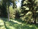 Bilder privat 099